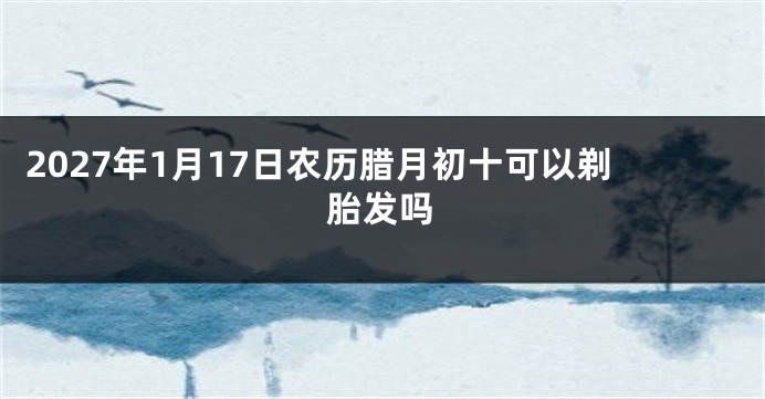 2027年1月17日农历腊月初十可以剃胎发吗
