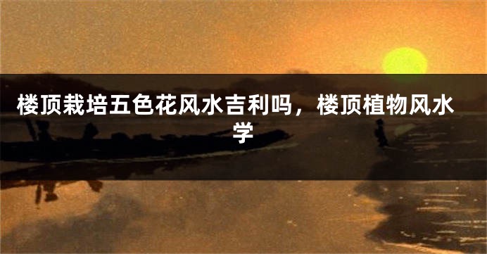 楼顶栽培五色花风水吉利吗,楼顶植物风水学