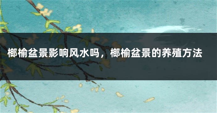 榔榆盆景影响风水吗，榔榆盆景的养殖方法