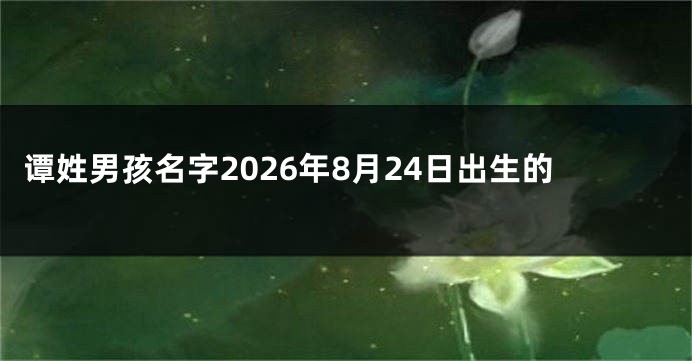 谭姓男孩名字2026年8月24日出生的