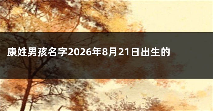 康姓男孩名字2026年8月21日出生的