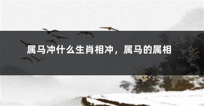 属马冲什么生肖相冲，属马的属相