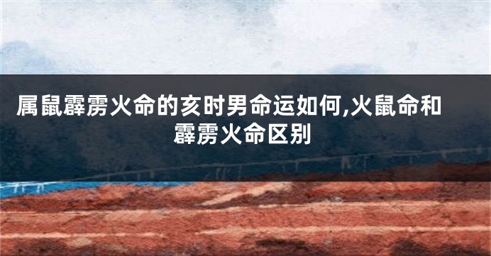 属鼠霹雳火命的亥时男命运如何,火鼠命和霹雳火命区别