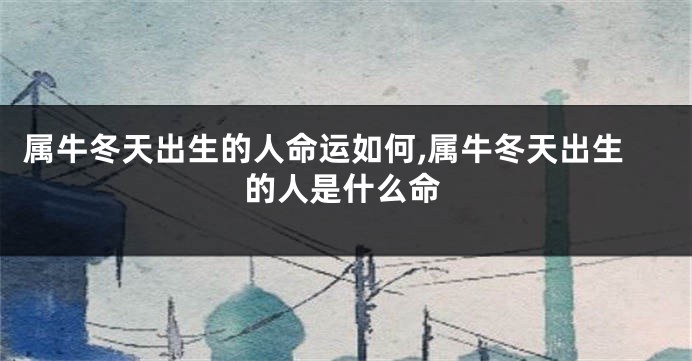 属牛冬天出生的人命运如何,属牛冬天出生的人是什么命