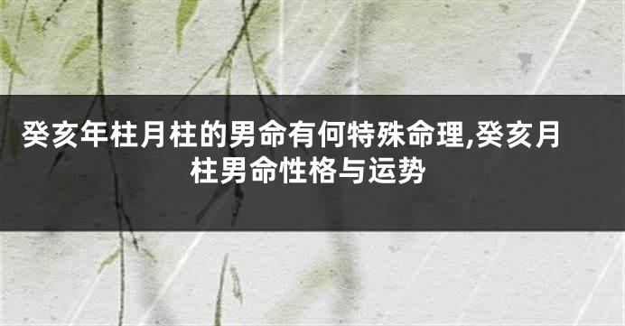 癸亥年柱月柱的男命有何特殊命理,癸亥月柱男命性格与运势