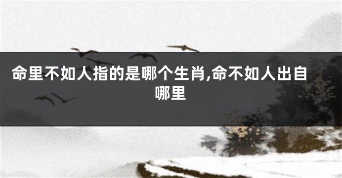 命里不如人指的是哪个生肖,命不如人出自哪里