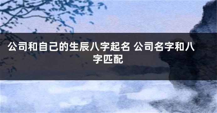公司和自己的生辰八字起名 公司名字和八字匹配
