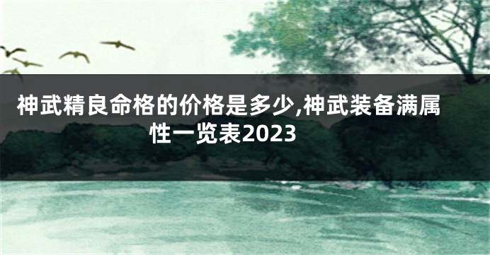 神武精良命格的价格是多少,神武装备满属性一览表2023