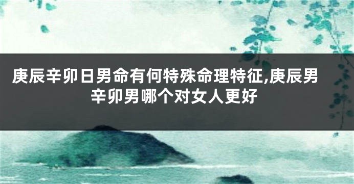 庚辰辛卯日男命有何特殊命理特征,庚辰男辛卯男哪个对女人更好