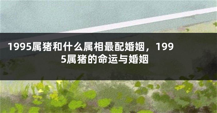1995属猪和什么属相最配婚姻,1995属猪的命运与婚姻