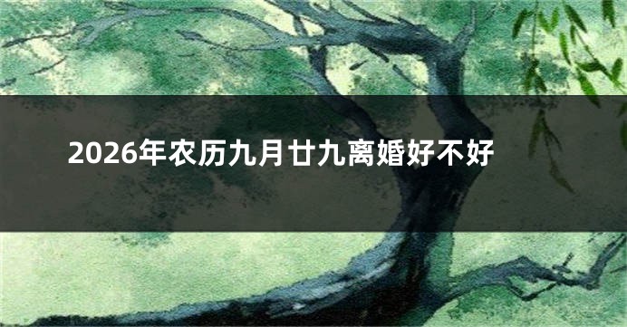 2026年农历九月廿九离婚好不好