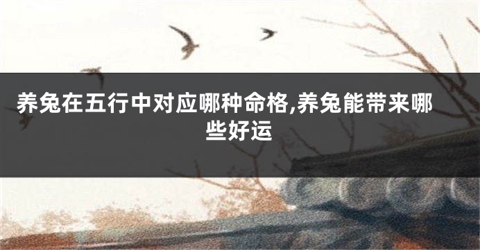 养兔在五行中对应哪种命格,养兔能带来哪些好运