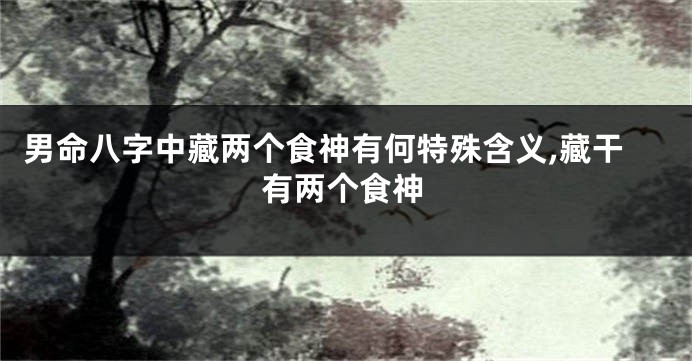 男命八字中藏两个食神有何特殊含义,藏干有两个食神