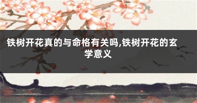 铁树开花真的与命格有关吗,铁树开花的玄学意义
