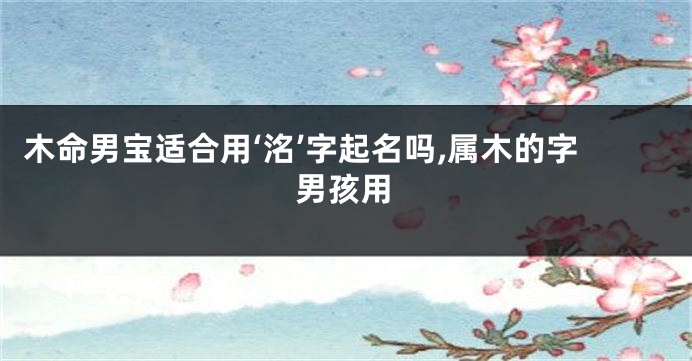 木命男宝适合用‘洺’字起名吗,属木的字男孩用