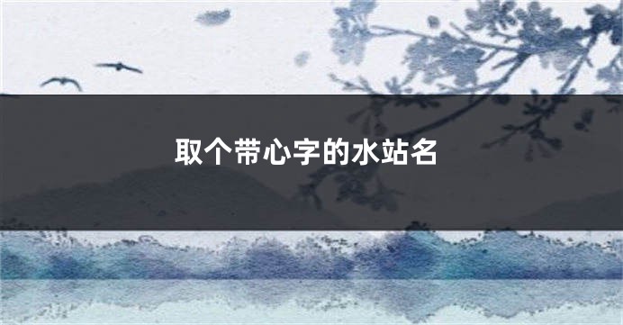 取个带心字的水站名