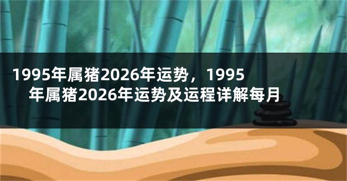 1995年属猪2026年运势，1995年属猪2026年运势及运程详解每月