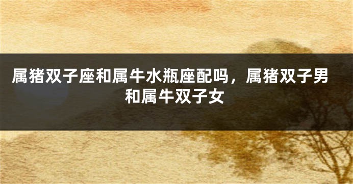 属猪双子座和属牛水瓶座配吗,属猪双子男和属牛双子女