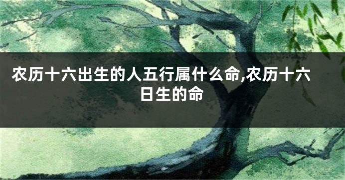农历十六出生的人五行属什么命,农历十六日生的命