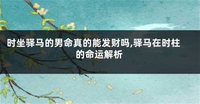 时坐驿马的男命真的能发财吗,驿马在时柱的命运解析