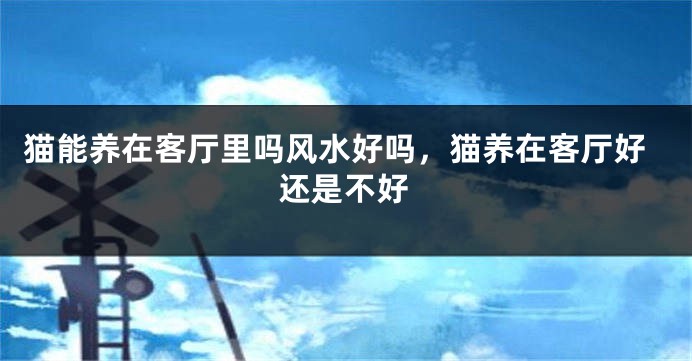 猫能养在客厅里吗风水好吗，猫养在客厅好还是不好