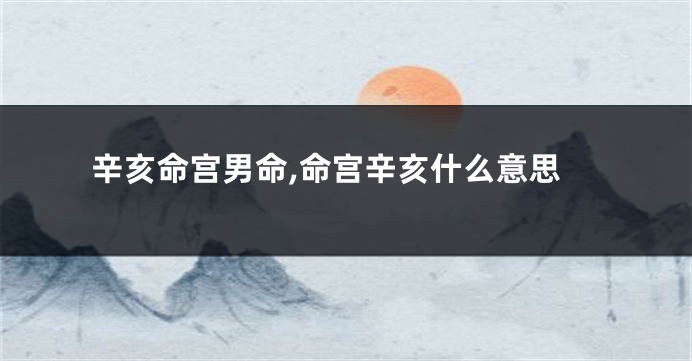 辛亥命宫男命,命宫辛亥什么意思