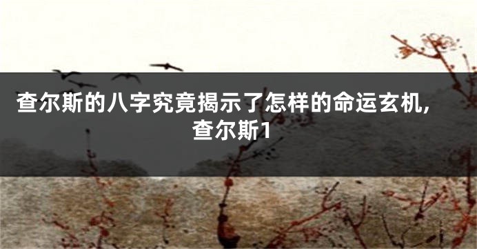 查尔斯的八字究竟揭示了怎样的命运玄机,查尔斯1