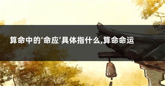算命中的‘命应’具体指什么,算命命运
