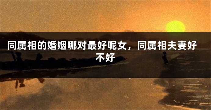 同属相的婚姻哪对最好呢女,同属相夫妻好不好