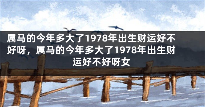 属马的今年多大了1978年出生财运好不好呀，属马的今年多大了1978年出生财运好不好呀女