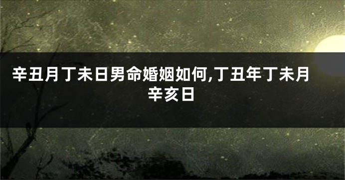 辛丑月丁未日男命婚姻如何,丁丑年丁未月辛亥日
