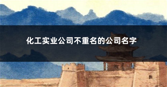 化工实业公司不重名的公司名字