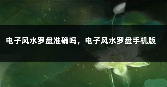 电子风水罗盘准确吗，电子风水罗盘手机版