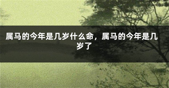 属马的今年是几岁什么命，属马的今年是几岁了