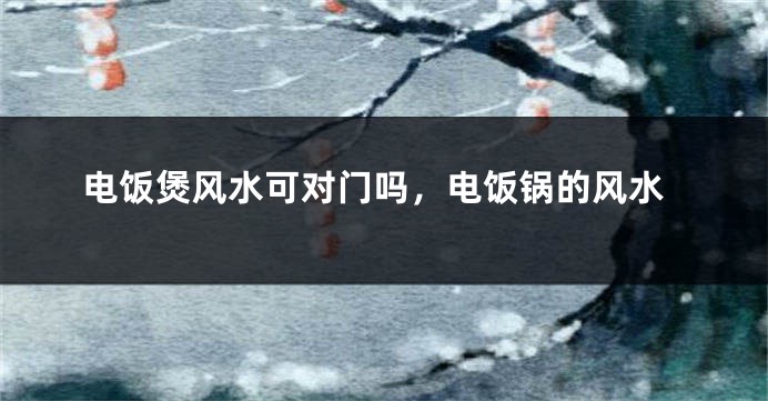 电饭煲风水可对门吗，电饭锅的风水
