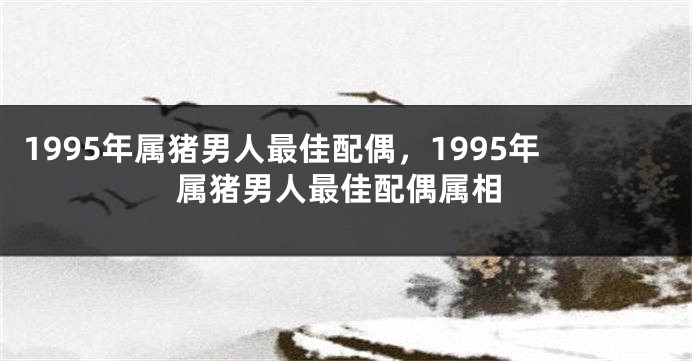 1995年属猪男人最佳配偶，1995年属猪男人最佳配偶属相
