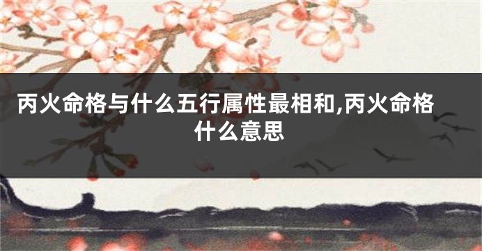 丙火命格与什么五行属性最相和,丙火命格什么意思
