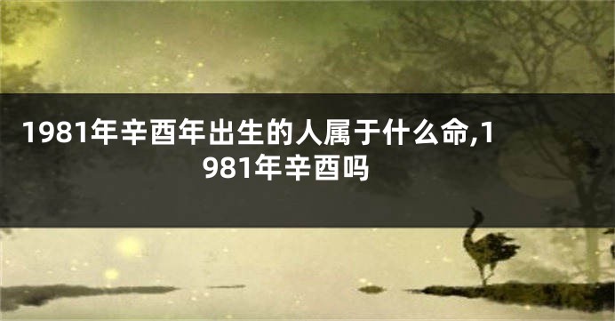 1981年辛酉年出生的人属于什么命,1981年辛酉吗