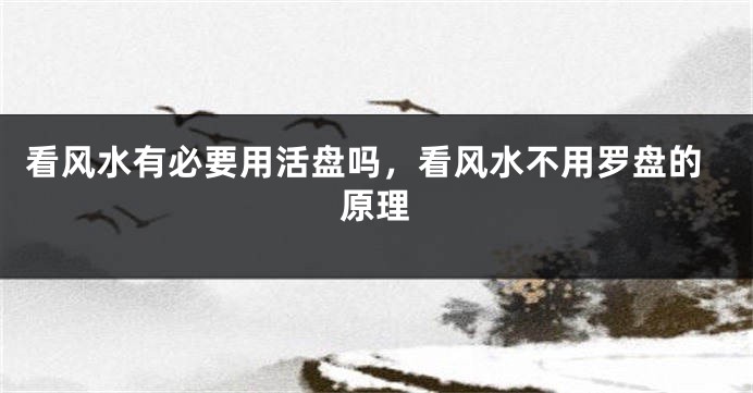 看风水有必要用活盘吗，看风水不用罗盘的原理