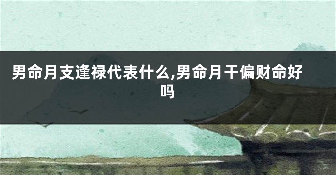 男命月支逢禄代表什么,男命月干偏财命好吗