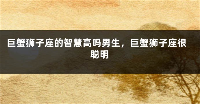 巨蟹狮子座的智慧高吗男生，巨蟹狮子座很聪明