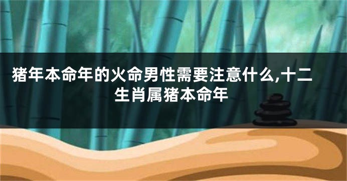 猪年本命年的火命男性需要注意什么,十二生肖属猪本命年