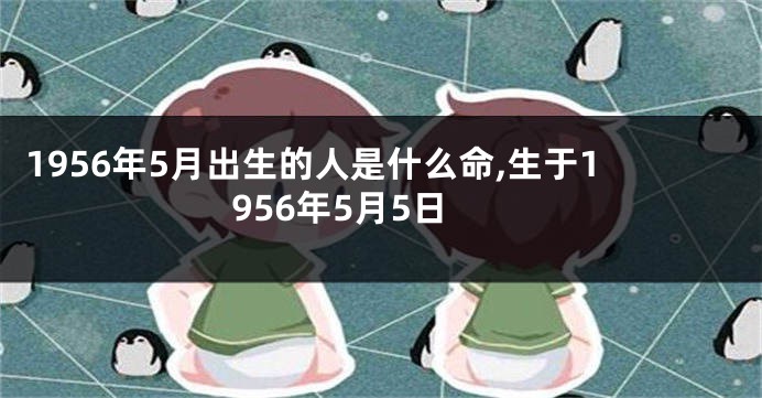 1956年5月出生的人是什么命,生于1956年5月5日