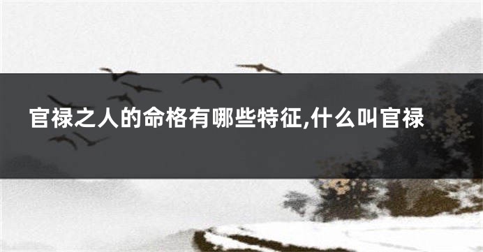 官禄之人的命格有哪些特征,什么叫官禄