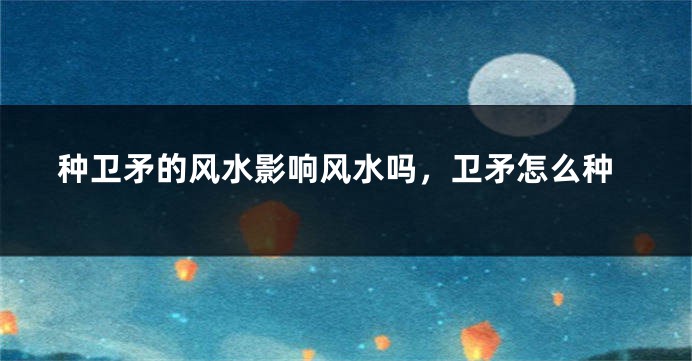 种卫矛的风水影响风水吗，卫矛怎么种
