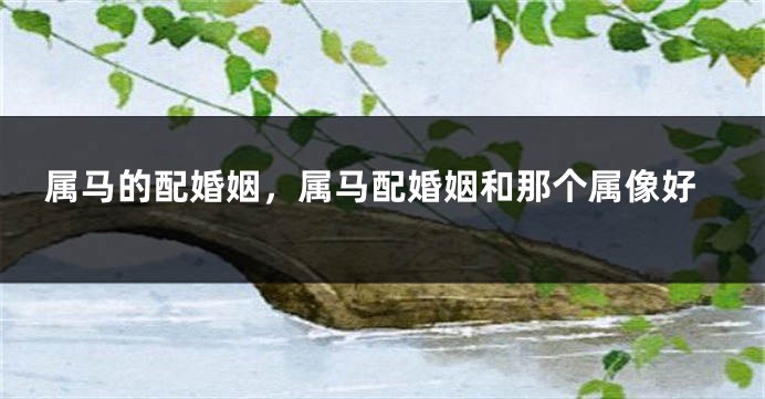 属马的配婚姻，属马配婚姻和那个属像好