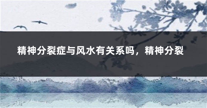 精神分裂症与风水有关系吗，精神分裂