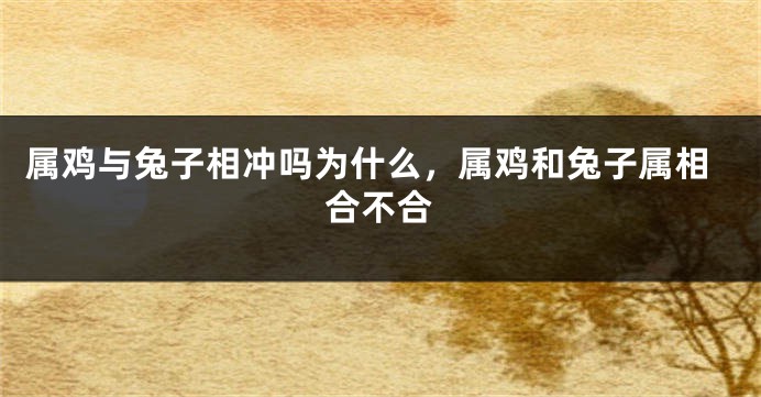 属鸡与兔子相冲吗为什么,属鸡和兔子属相合不合
