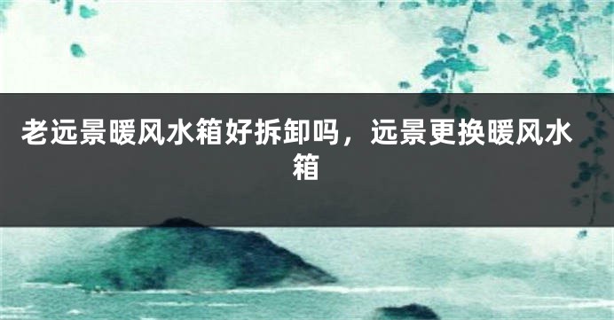 老远景暖风水箱好拆卸吗，远景更换暖风水箱