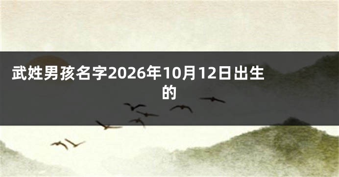 武姓男孩名字2026年10月12日出生的